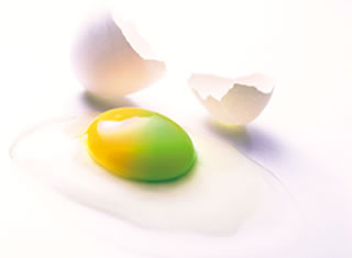 イメージ写真 タマゴの黄身が黄色と緑色